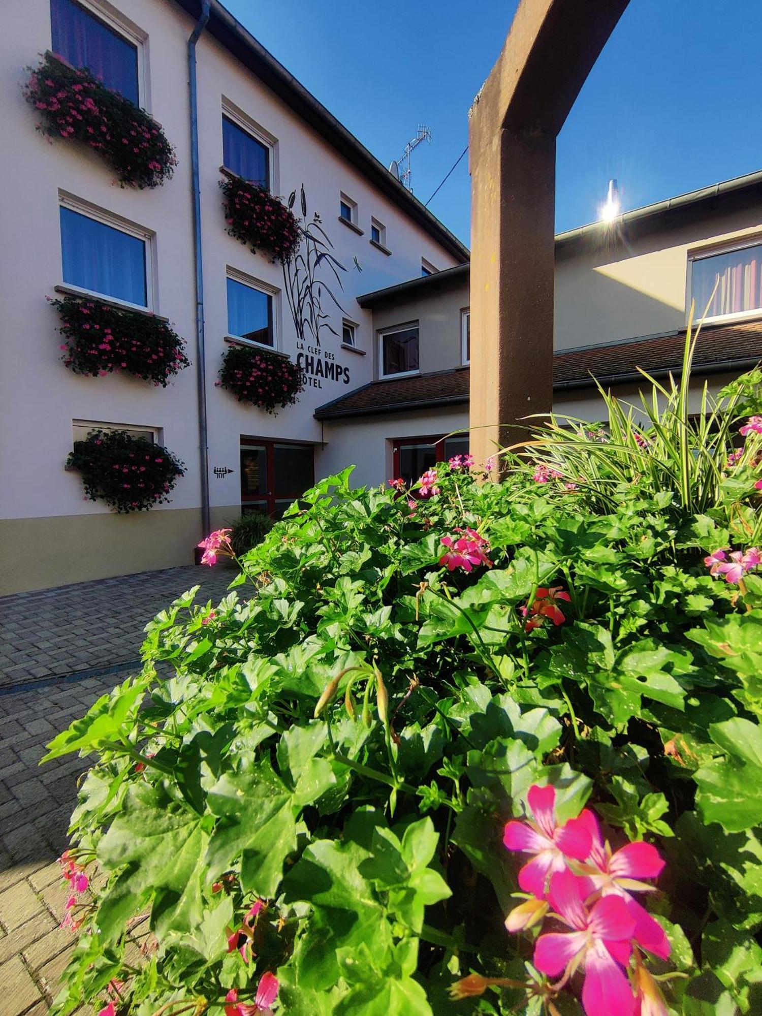 Hotel La Clef Des Champs - Proche Colmar Biesheim Zewnętrze zdjęcie